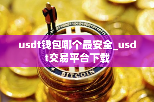 usdt钱包哪个最安全_usdt交易平台下载