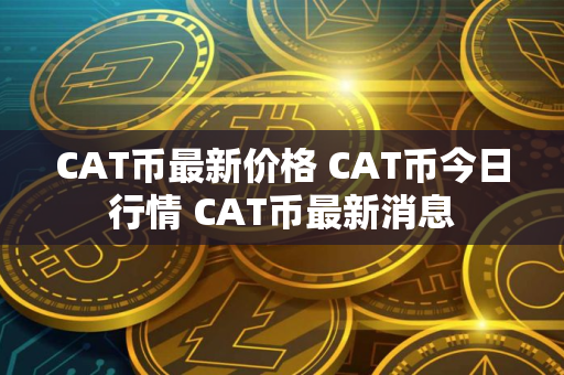 CAT币最新价格 CAT币今日行情 CAT币最新消息
