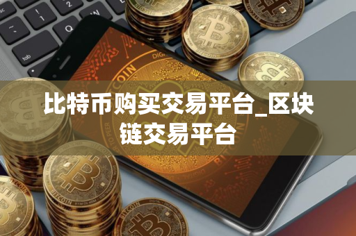 比特币购买交易平台_区块链交易平台