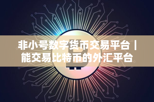 非小号数字货币交易平台｜能交易比特币的外汇平台