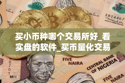 买小币种哪个交易所好_看实盘的软件_买币量化交易软件