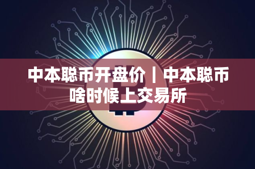 中本聪币开盘价｜中本聪币啥时候上交易所
