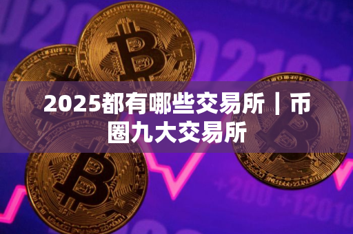 2025都有哪些交易所｜币圈九大交易所