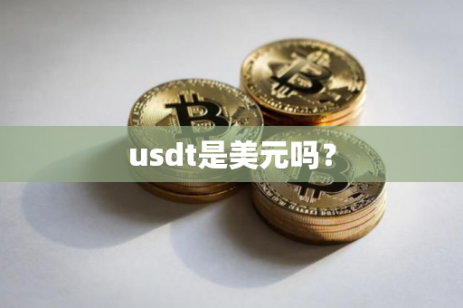 usdt是美元吗？