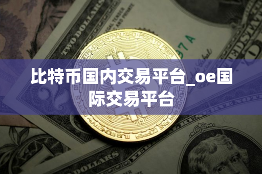 比特币国内交易平台_oe国际交易平台