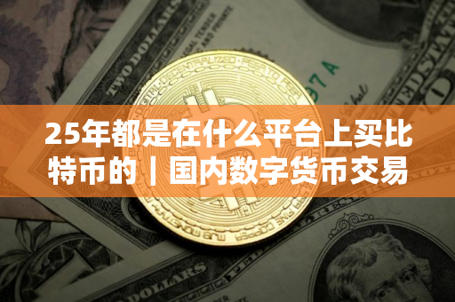 25年都是在什么平台上买比特币的｜国内数字货币交易所
