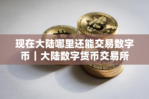 现在大陆哪里还能交易数字币｜大陆数字货币交易所