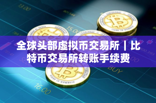 全球头部虚拟币交易所｜比特币交易所转账手续费