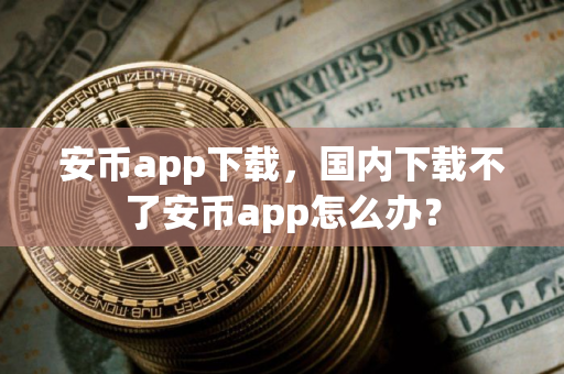 安币app下载，国内下载不了安币app怎么办？