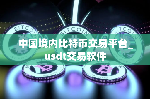 中国境内比特币交易平台_usdt交易软件