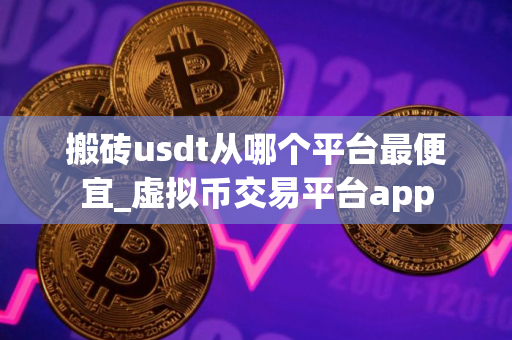 搬砖usdt从哪个平台最便宜_虚拟币交易平台app