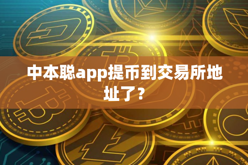中本聪app提币到交易所地址了？