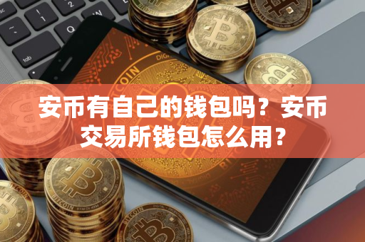 安币有自己的钱包吗？安币交易所钱包怎么用？