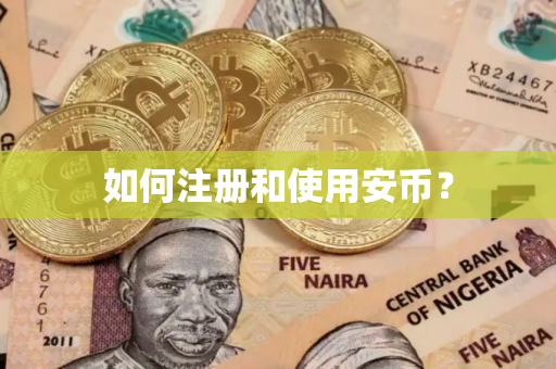 如何注册和使用安币？