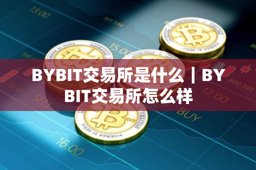 BYBIT交易所是什么｜BYBIT交易所怎么样