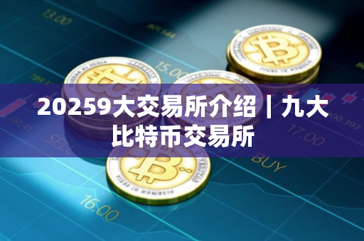 20259大交易所介绍｜九大比特币交易所