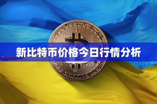 新比特币价格今日行情分析