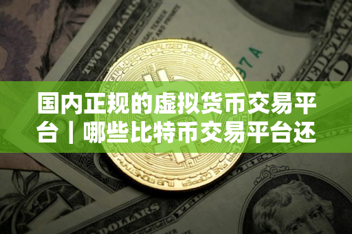 国内正规的虚拟货币交易平台｜哪些比特币交易平台还可以用