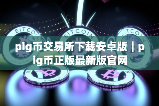 pig币交易所下载安卓版｜pig币正版最新版官网