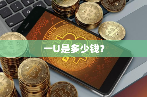 一U是多少钱？