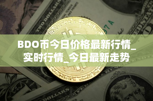 BDO币今日价格最新行情_实时行情_今日最新走势