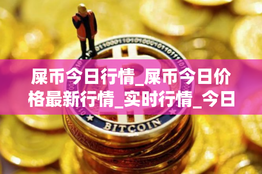 屎币今日行情_屎币今日价格最新行情_实时行情_今日最新走势