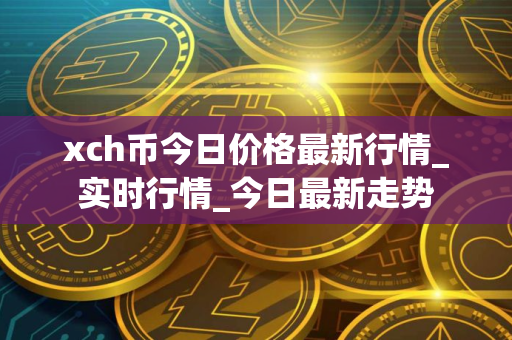 xch币今日价格最新行情_实时行情_今日最新走势