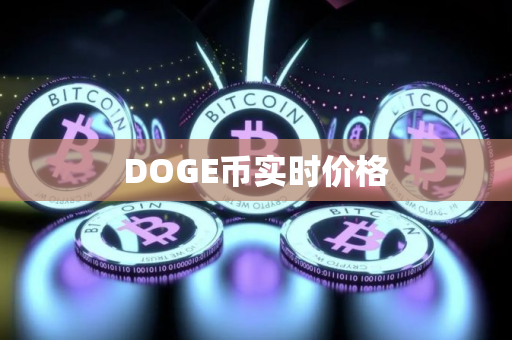 DOGE币实时价格