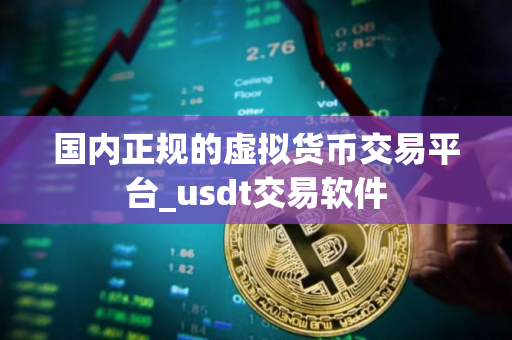 国内正规的虚拟货币交易平台_usdt交易软件