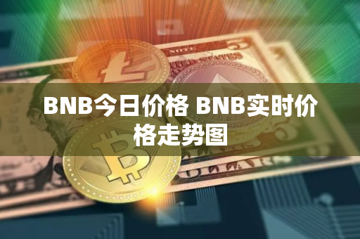 BNB今日价格 BNB实时价格走势图