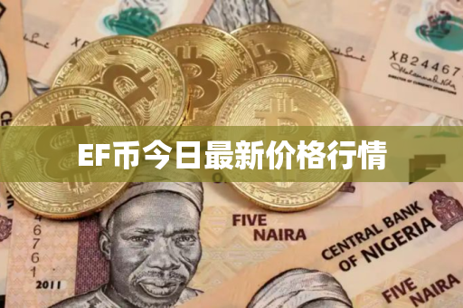 EF币今日最新价格行情