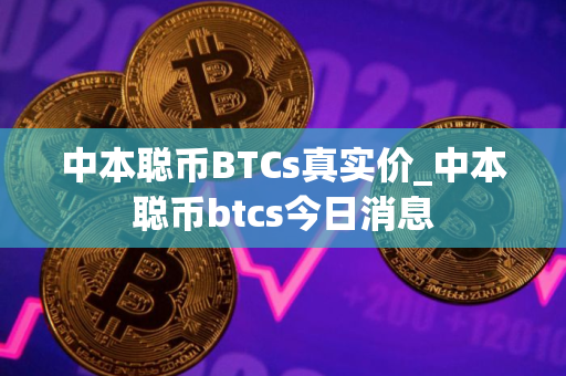 中本聪币BTCs真实价_中本聪币btcs今日消息