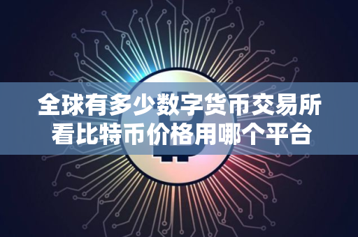 全球有多少数字货币交易所 看比特币价格用哪个平台