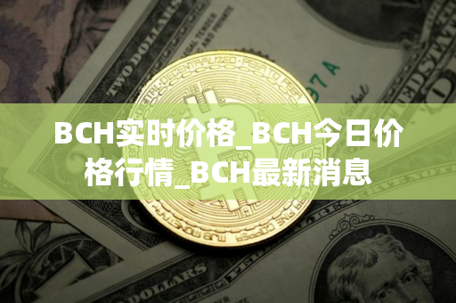 BCH实时价格_BCH今日价格行情_BCH最新消息