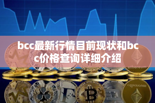 bcc最新行情目前现状和bcc价格查询详细介绍