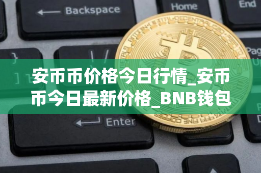 安币币价格今日行情_安币币今日最新价格_BNB钱包