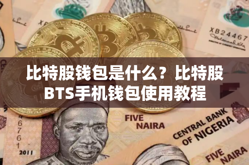 比特股钱包是什么？比特股BTS手机钱包使用教程