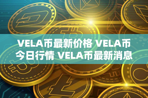 VELA币最新价格 VELA币今日行情 VELA币最新消息