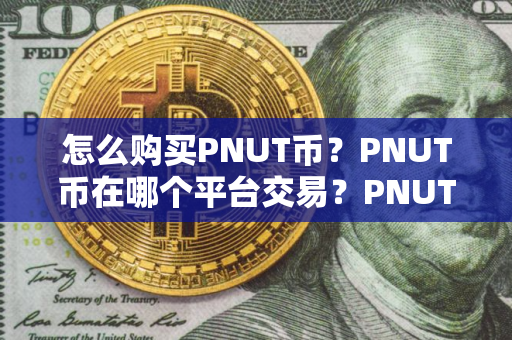 怎么购买PNUT币？PNUT币在哪个平台交易？PNUT币购买交易教程