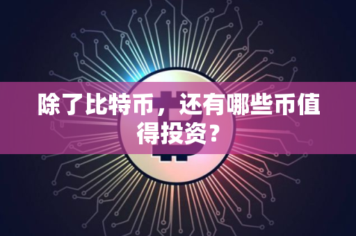 除了比特币，还有哪些币值得投资？