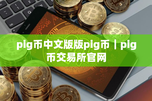 pig币中文版版pig币｜pig币交易所官网