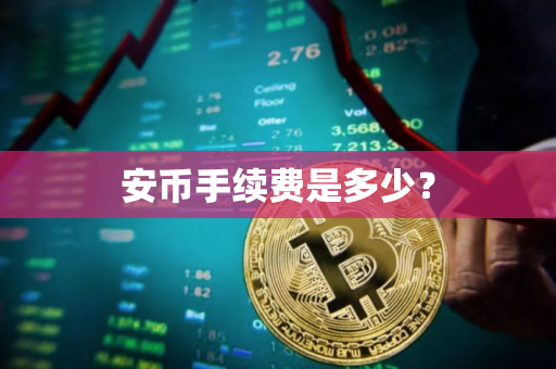安币手续费是多少？