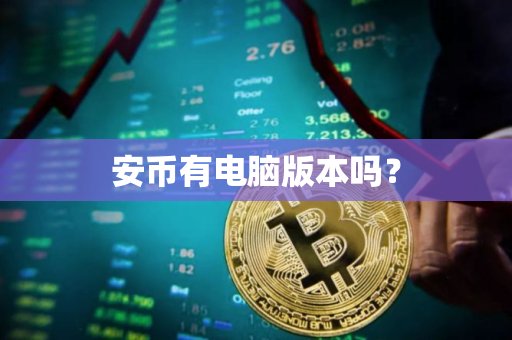安币有电脑版本吗？