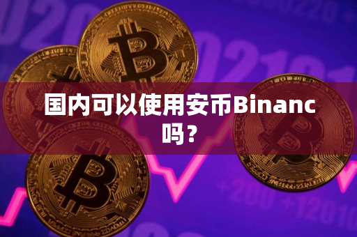 国内可以使用安币Binanc吗？