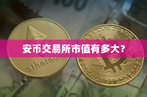 安币交易所市值有多大？