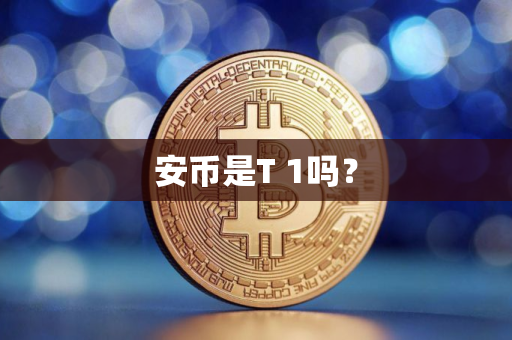 安币是T 1吗？