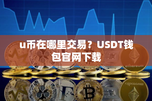 u币在哪里交易？USDT钱包官网下载
