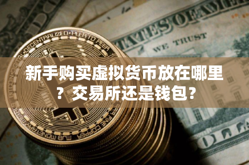 新手购买虚拟货币放在哪里？交易所还是钱包？