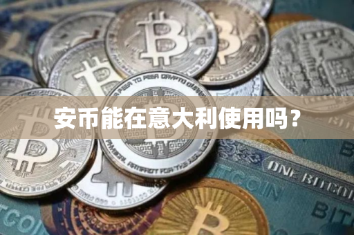 安币能在意大利使用吗？