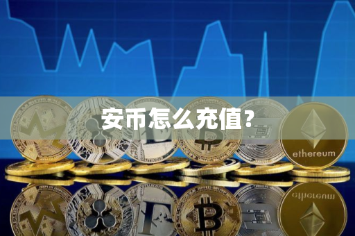 安币怎么充值？